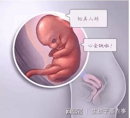 青瓷医疗